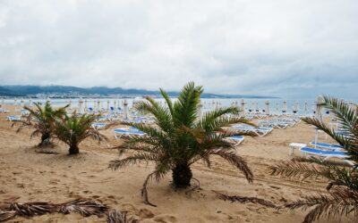 Kuşadası Halk Plajları ve Denize Girebileceğiniz En Güzel Noktalar