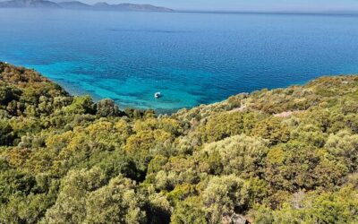 Kuşadası Otogardan Milli Park’a Nasıl Gidilir? Ulaşım Rehberi