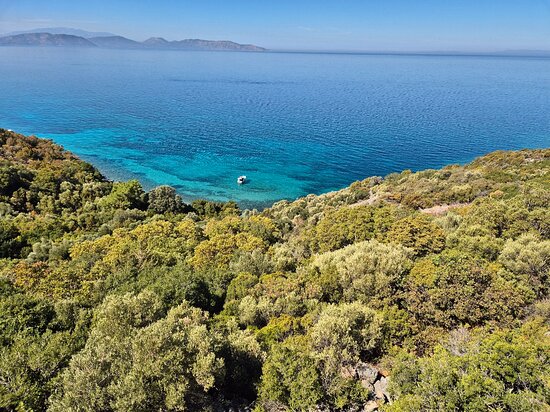 Kuşadası Otogardan Milli Park’a Nasıl Gidilir? Ulaşım Rehberi