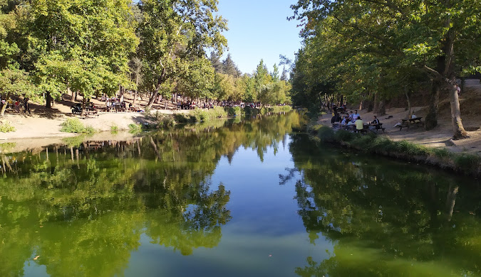 Değirmen Boğazı Tabiat Parkı