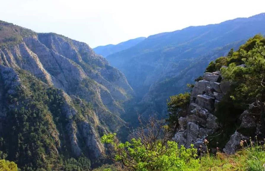 Kazdağı Milli Parkı